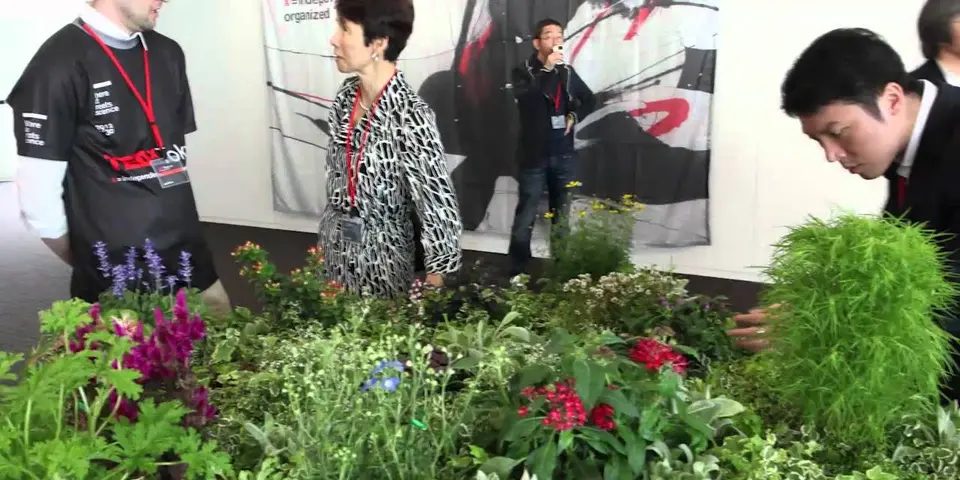 Sound Gardening:センサーを備えた植物に触れて音楽を奏でるインタラクティブなサウンドインスタレーションの様子