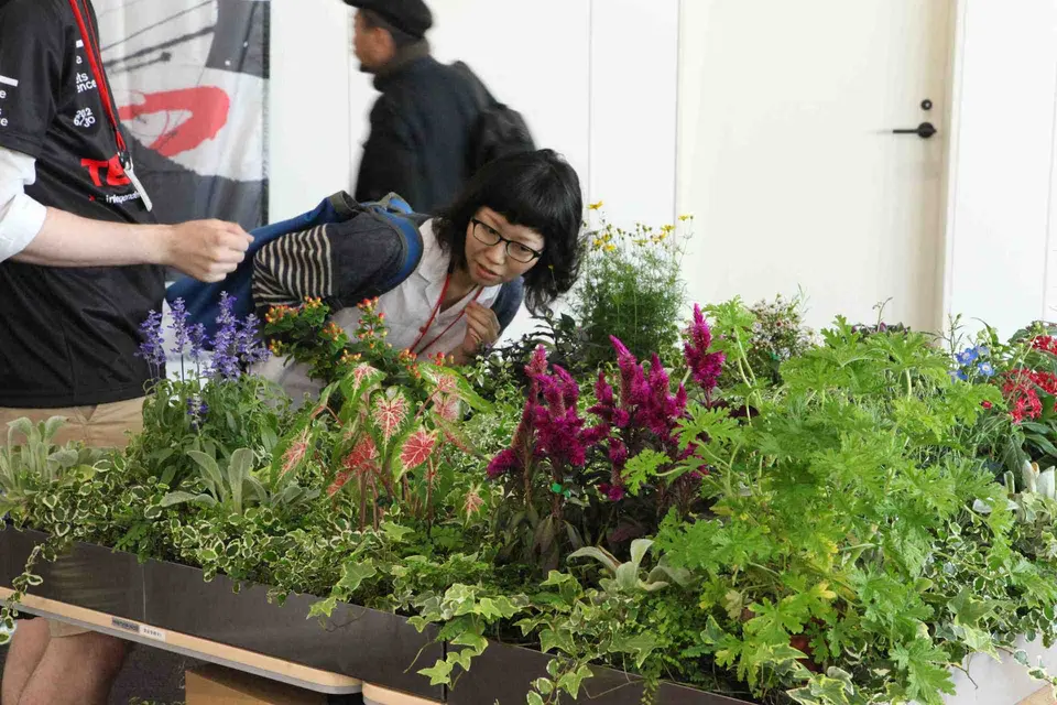 TEDでのSound Gardening展示風景。来場者がセンサー付きの植物に触れて演奏する様子
